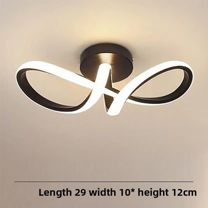 Modern LED Ceiling Light