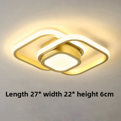 Modern LED Ceiling Light